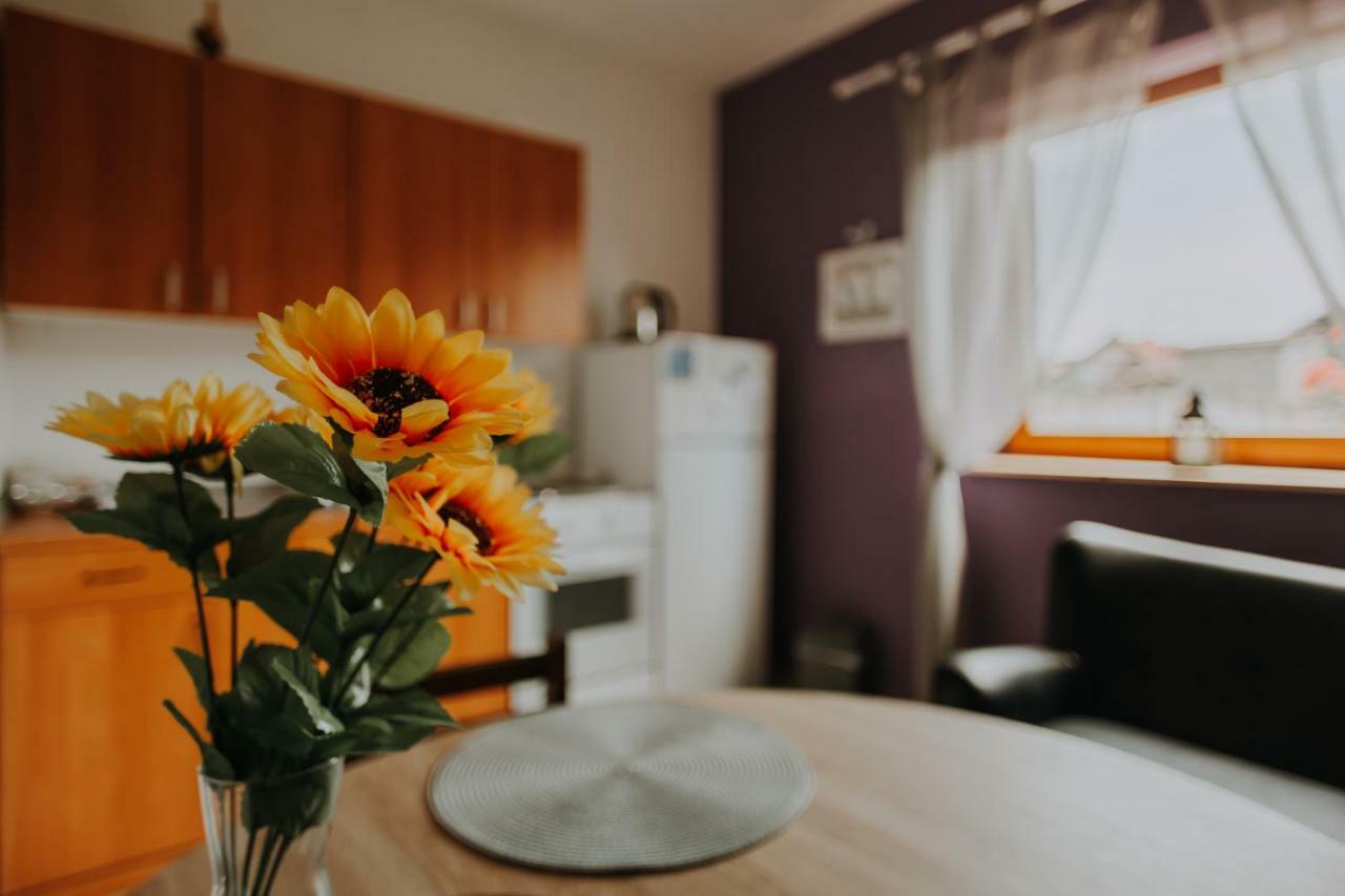 Apartmani Marin Вуковар Экстерьер фото